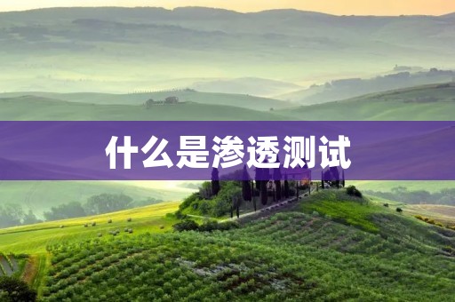 什么是渗透测试
