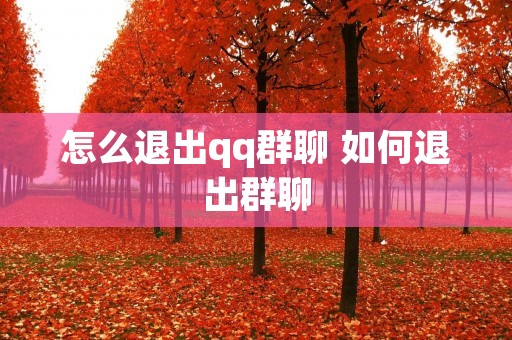 怎么退出qq群聊 如何退出群聊