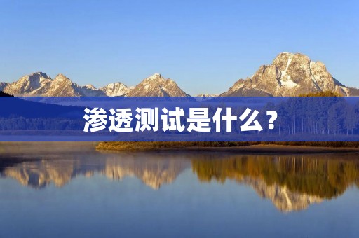 渗透测试是什么?