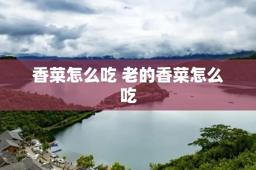香菜怎么吃 老的香菜怎么吃