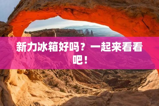 新力冰箱好吗？一起来看看吧！