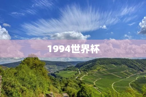 1994世界杯：一场足球盛宴