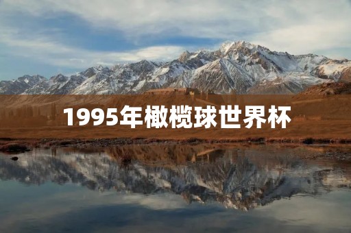 1995年橄榄球世界杯:南非的荣耀与团结 1995年橄榄球世界杯:南非的荣耀与团结