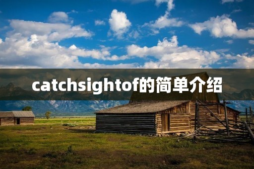 catchsightof的简单介绍 catchsightof的简单介绍