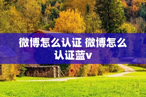 微博怎么认证 微博怎么认证蓝v