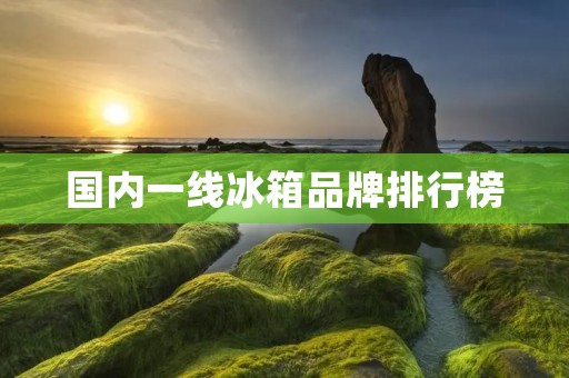 国内一线冰箱品牌排行榜