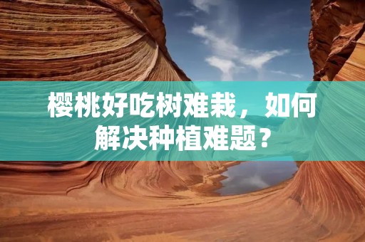 樱桃好吃树难栽,如何解决种植难题? 樱桃好吃树难栽,如何解决种植难题?