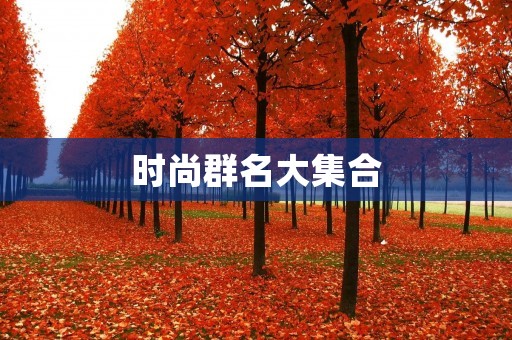 时尚群名大集合:给你不一样的社交体验