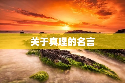 关于真理的名言