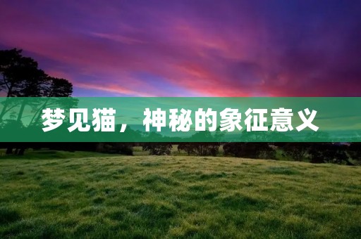 梦见猫，神秘的象征意义