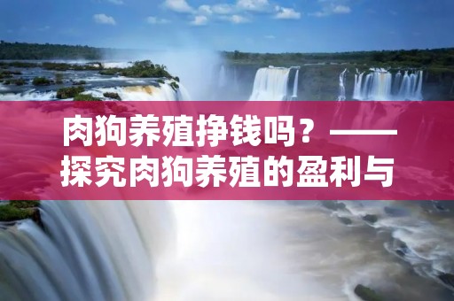 肉狗养殖挣钱吗?——探究肉狗养殖的盈利与风险