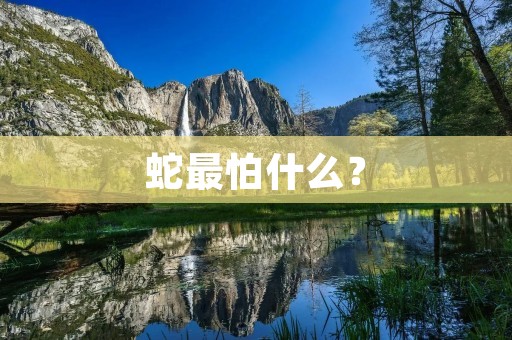蛇最怕什么?