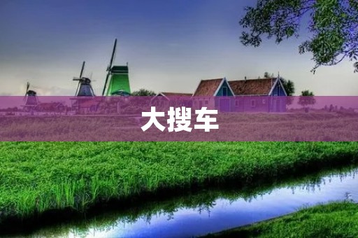 大搜车:专业的二手车交易平台 大搜车:专业的二手车交易平台