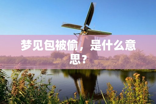 梦见包被偷，是什么意思？