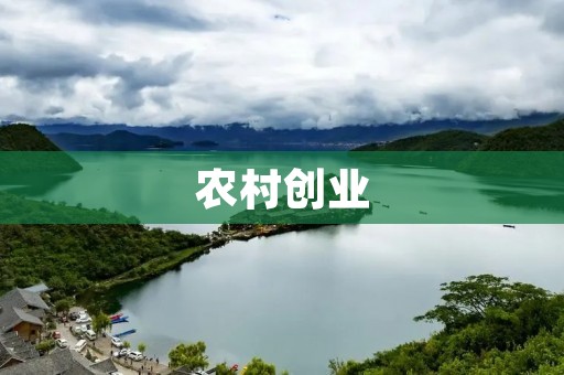 农村创业:哪些生意适合做?