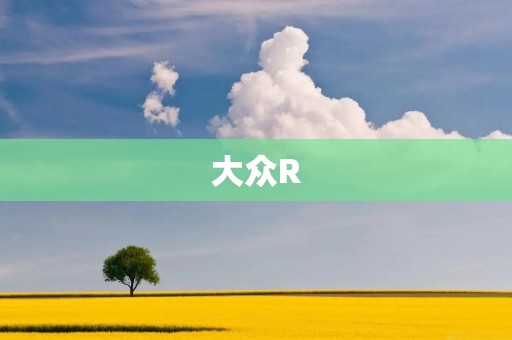 大众R:一款令人心动的运动车型 大众R:一款令人心动的运动车型