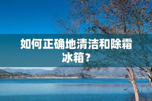 如何正确地清洁和除霜冰箱？