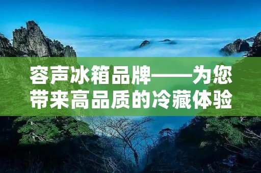 容声冰箱品牌——为您带来高品质的冷藏体验
