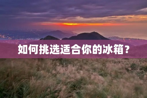 如何挑选适合你的冰箱？
