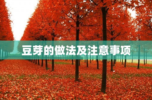 豆芽的做法及注意事项