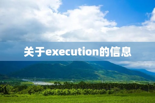 关于execution的信息