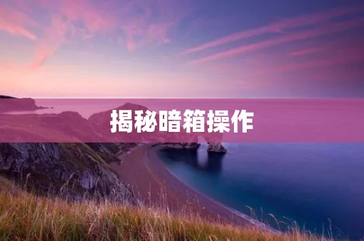 揭秘暗箱操作：**纵的真相