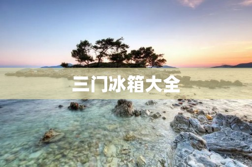 三门冰箱大全:选购指南、品牌推荐及使用技巧