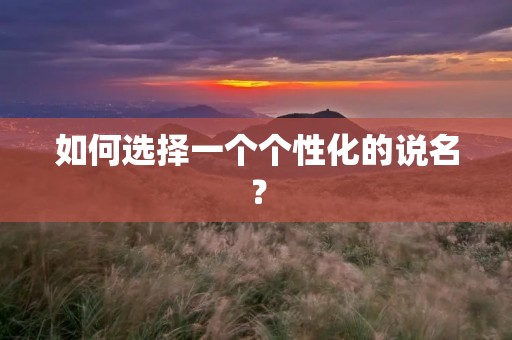 如何选择一个个性化的说名？
