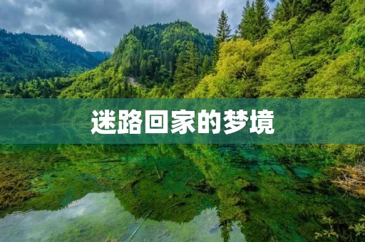 迷路回家的梦境
