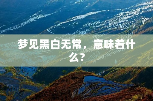 梦见黑白无常，意味着什么？