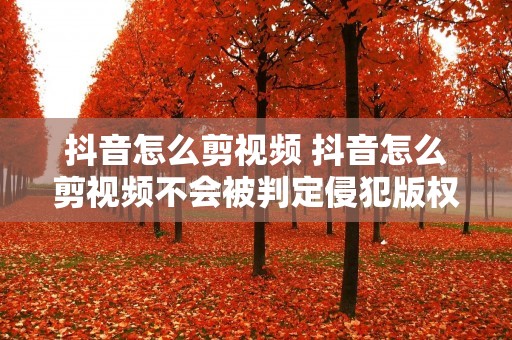 抖音怎么剪视频 抖音怎么剪视频不会被判定侵犯版权