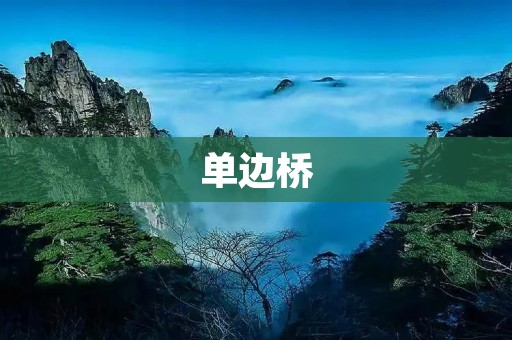 单边桥:一个令人惊险的挑战 单边桥:一个令人惊险的挑战