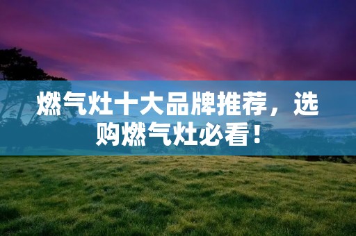 燃气灶十大品牌推荐，选购燃气灶必看！