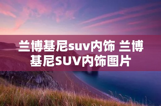 兰博基尼suv内饰 兰博基尼SUV内饰图片