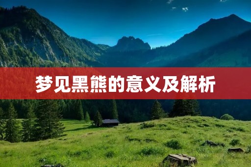 梦见黑熊的意义及解析
