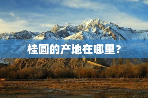 桂圆的产地在哪里？