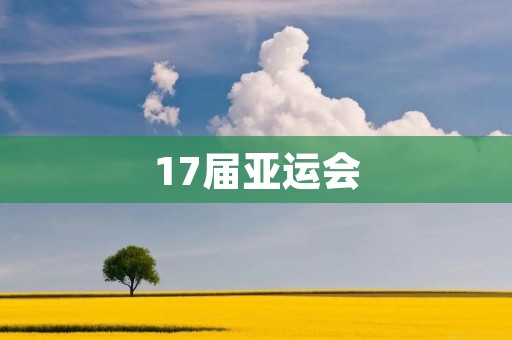 17届亚运会：中国体育的新篇章