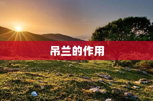吊兰的作用