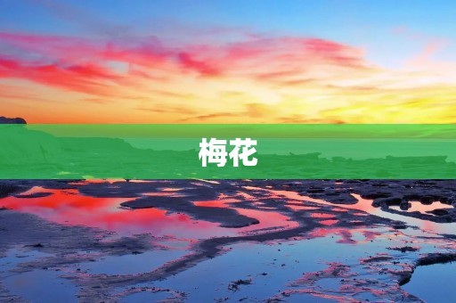 梅花