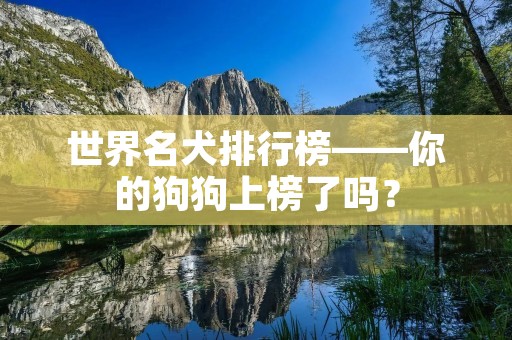 世界名犬排行榜——你的狗狗上榜了吗？
