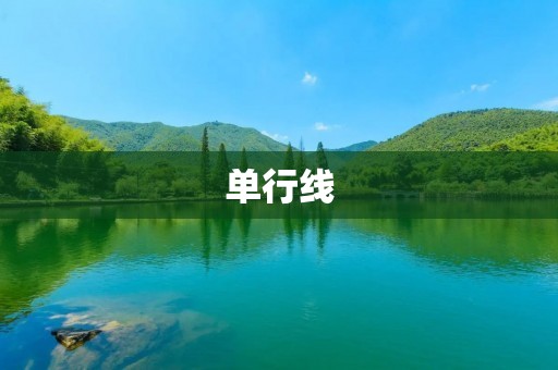 单行线:城市交通中的一道难题 单行线:城市交通中的一道难题
