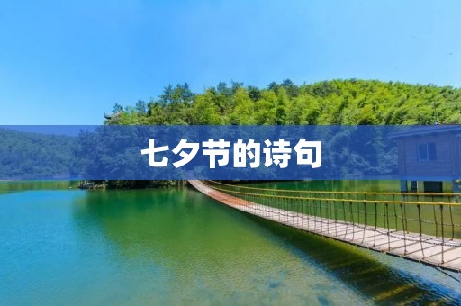 七夕节的诗句