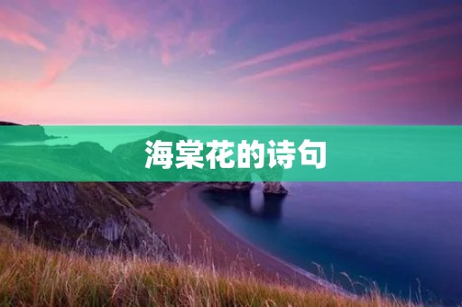 海棠花的诗句