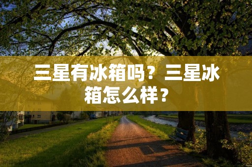 三星有冰箱吗？三星冰箱怎么样？