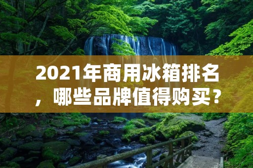 2021年商用冰箱排名，哪些品牌值得购买？