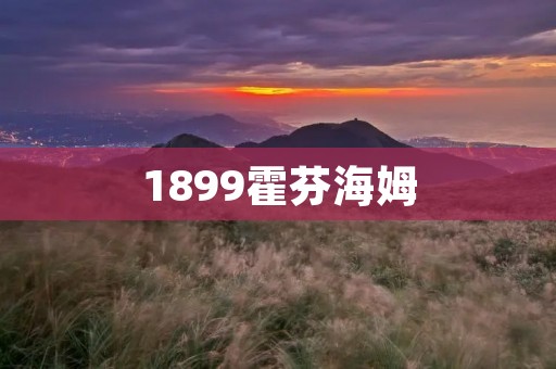 1899霍芬海姆:德国足球世界的新贵 1899霍芬海姆:德国足球世界的新贵