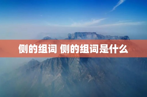 侧的组词 侧的组词是什么