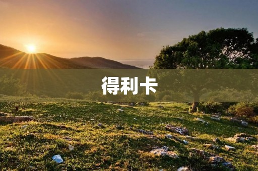 得利卡:打造最优惠的消费卡 得利卡:打造最优惠的消费卡