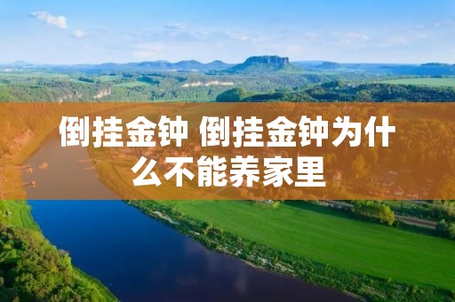 倒挂金钟 倒挂金钟为什么不能养家里