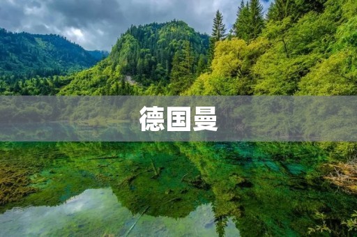  德国曼：全球领先的汽车零部件及系统供应商
